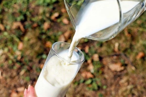Медики обнаружили неожиданно опасное свойство говядины и коровьего молока