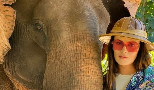 Екатерина Андреева усыновила... слона