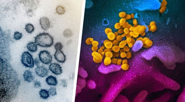 Ученые: коронавирус бесконтактно распространяется по планете