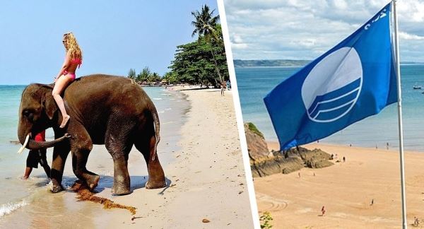 Пляжи Гоа не могут получить «Голубой флаг» из-за высокого уровня кишечной палочки