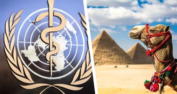 ВОЗ заявляет в Египте о «прогрессе» в борьбе с коронавирусом